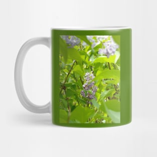 Lilac Hidden in the Leaves Mug